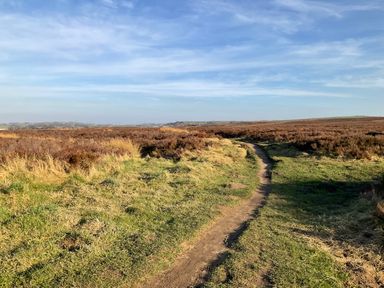 A grassy dirt path winding through open moorland under a blue sky