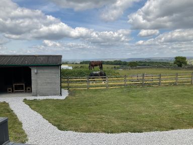A view of horses grazing near a shed at Little Acre in Oxenhope