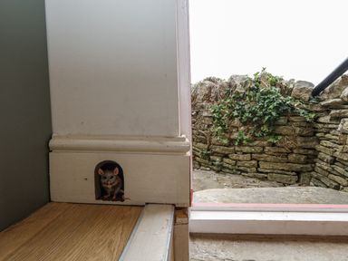 A doorway with a mouse figure near the floor at Sea Pink Studio in Swanage