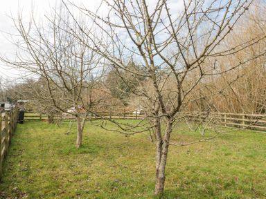 A fenced grassy yard with leafless trees and scattered dry leaves at Bell tent 2 Camerton near Timsbury