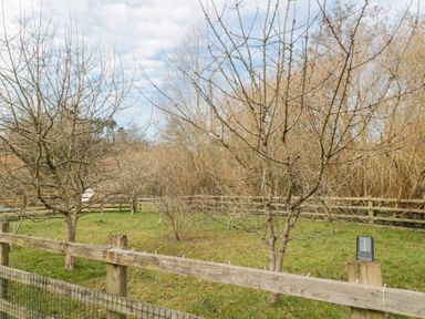 A fenced grassy area with leafless trees and a background of more trees at Bell tent 2 in Camerton near Timsbury