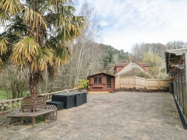 A patio with a palm tree, wooden bench, outdoor table and chairs, a shed, and wooden fencing at Bell tent 2 in Camerton near Timsbury