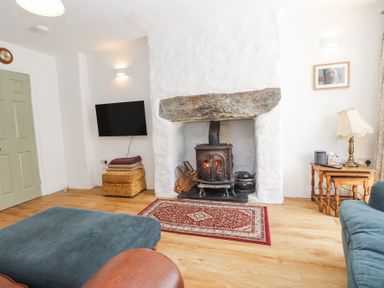 A living room with a wood burning stove rug television and seating at Llys Emrys in Beddgelert