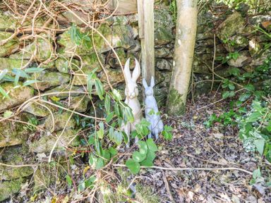 Two rabbit statues among leaves and plants near a mossy stone wall at Llys Emrys in Beddgelert