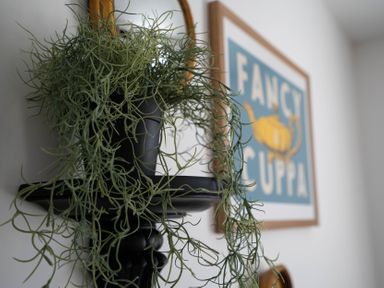 A black wall-mounted planter with green hanging plant and a framed art print with the text fancy cuppa