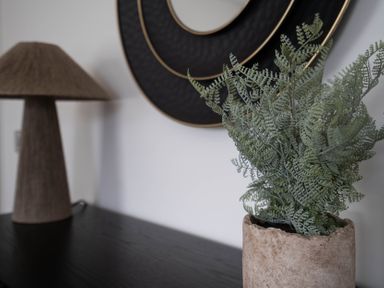 A plant in a pot and a woven lamp on a table at The Cove in Kessingland