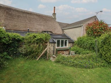 A garden with green grass bushes and a thatched roof cottage at Cobblers Cottage in Langton Herring