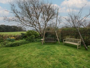 A garden area with a wooden swing and bench surrounded by trees and greenery at Cobblers Cottage in Langton Herring