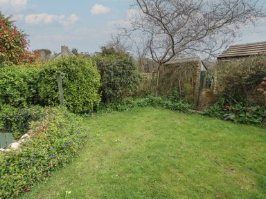 A garden with green grass a leafless tree bushes flowers and a shed at Cobblers Cottage in Langton Herring