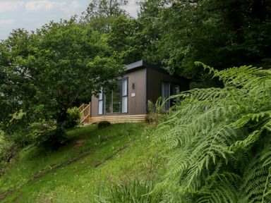 A cabin near trees at Elter Luxury Pod in Keswick