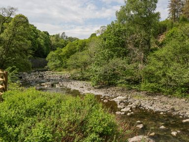 A rocky river surrounded by dense green trees and bushes at Woof Luxury Family Pod in Keswick