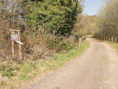 A dirt road with wooden fences on the side and a signpost saying Cabanau Bach among trees and bushes at Cabanau Bach in Bedwas