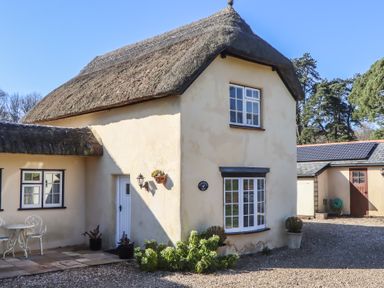 A house with a thatched roof and white windows with plants in pots outside at Badgers Den in Budleigh Salterton