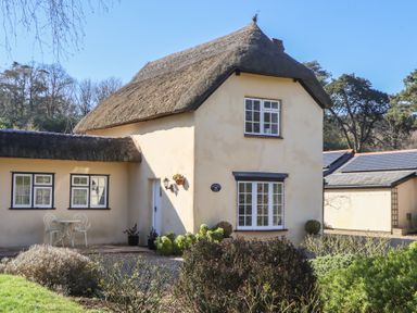 A thatched cottage with cream walls and white windows surrounded by bushes at Badger's Den in Budleigh Salterton