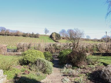 A garden with a stone pathway surrounded by bushes and trees with fields and hills in the background at Badger's Den in Budleigh Salterton