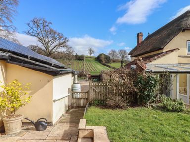 A garden area with a grassy lawn and paved path next to a building with solar panels and a thatched roof at Badger's Den in Budleigh Salterton