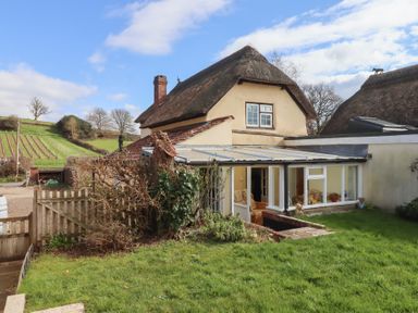 A thatched cottage with a glass sunroom and a garden with grass and hedges at Badger's Den in Budleigh Salterton