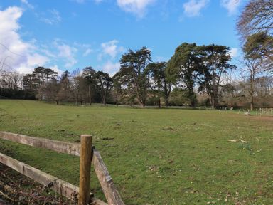 A grassy field with scattered trees in the background under a partly cloudy sky at Badger's Den in Budleigh Salterton
