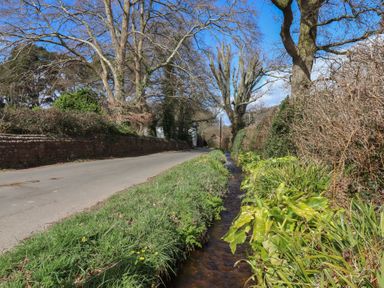 A rural road beside a narrow stream with grass trees and hedges at Badger's Den in Budleigh Salterton