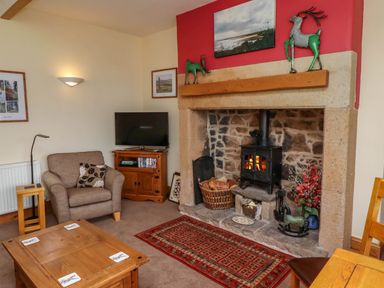 A sitting room with a stone fireplace wood stove armchair television and wooden furniture at Folly View in Eglingham