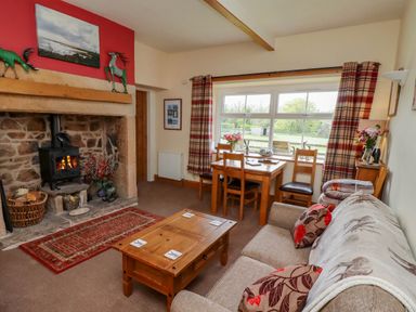 A living room with a fireplace, wooden coffee table, sofa, dining table, chairs, and window with plaid curtains at Folly View in Eglingham