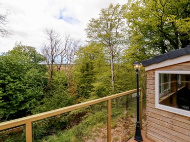 A wooden balcony with glass railing a lamppost and trees surrounding Kirkland Howe Cottage in Arlecdon