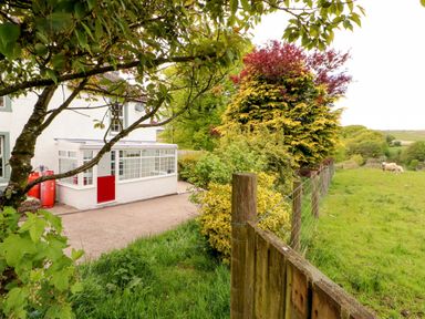 A fenced grassy field with cows next to a white house with a red door and trees at Kirkland Howe Cottage in Arlecdon