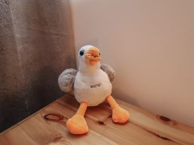 A stuffed toy bird with orange feet and beak sitting on a wooden surface near a wall at Duchess of Hamilton @ Engine Shed in Whitby