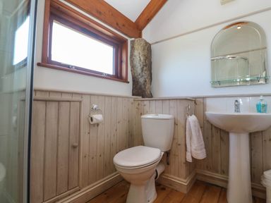 A bathroom with a toilet sink mirror wooden paneling and a window at Bay View Barn in Hayle