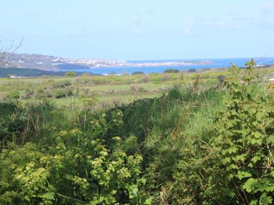 Green shrubs and grass with a distant view of a coastal town and sea at Bay View Barn in Hayle