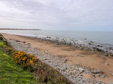 A rocky sandy beach by the sea with yellow flowers and grass at Tegawelon in Llandanwg near Harlech