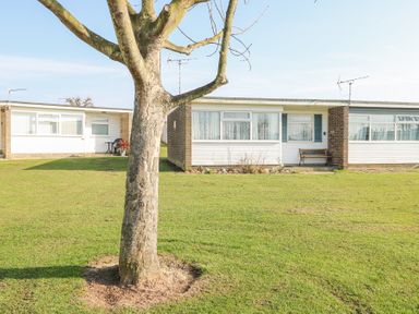 A tree in front of two single-storey houses with grass lawns at Chalet 21 in Newport Norfolk
