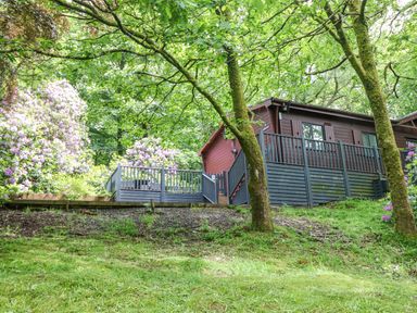 A wooden cabin with a deck surrounded by trees and flowering bushes at Serenity Skiptory Howe 10 White Cross Bay near Windermere