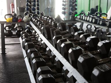 A gym rack with rows of dumbbells and kettlebells at Serenity Skiptory Howe 10 White Cross Bay near Windermere