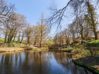 A pond surrounded by trees and plants with a pathway and wooden fences at Pennine in Veryan