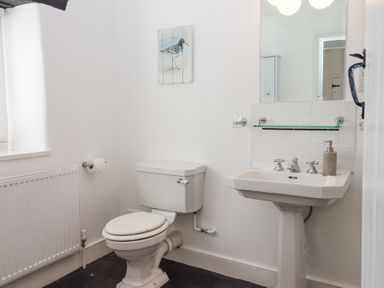 A bathroom with a toilet and a pedestal sink and a bird picture on the wall at 2 New Mill Cottages in North Bovey