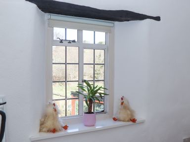 A window with a small plant in a pink pot and two decorative fluffy chickens on the sill at 2 New Mill Cottages in North Bovey