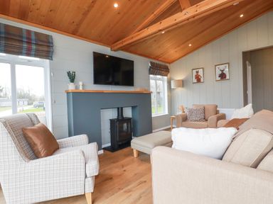 A living room with armchairs sofa fireplace and television at 6 Meadow Retreat in Dobwalls