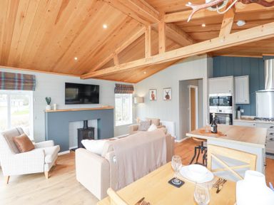 An open living room and kitchen with wood ceiling and beams at 6 Meadow Retreat in Dobwalls