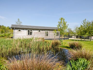 A wooden cabin by a pond with reeds and trees on a grassy lawn at 17 Meadow Retreat in Dobwalls