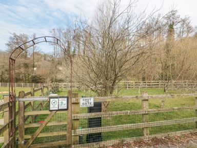 An outdoor fenced dog exercise area with a wooden gate and bare trees at Bell tent 4 Camerton near Timsbury