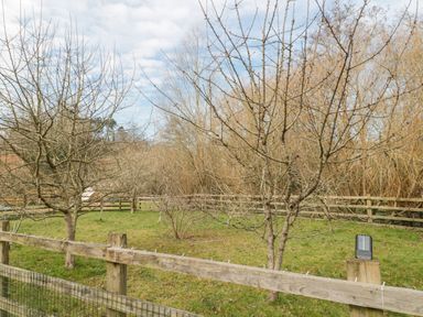 A fenced grassy area with leafless trees and a wooden fence in Camerton near Timsbury