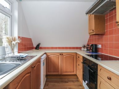 A kitchen with wooden cabinets a sink a dish rack a knife block an electric kettle and an oven at Valley Lodge 38 St Ann's Chapel Cornwall