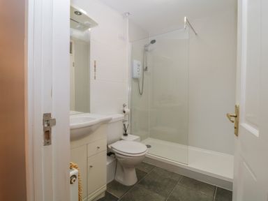 A bathroom with a toilet sink and walk in shower at Valley Lodge 38 in St Ann's Chapel Cornwall