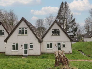 Two adjoining houses with triangular roofs and white walls with a grassy yard and tree stump in front at Valley Lodge 38 in St Ann's Chapel Cornwall
