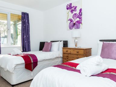 A bedroom with two single beds a wooden dresser a lamp and a purple flower painting at Valley Lodge 40 St Ann's Chapel Cornwall