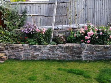 A flower bed with pink flowers and green plants at Colliers Cottage in Cinderford