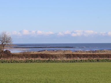 A view of the sea with a grassy field and shoreline at Seafield Granary Alnmouth