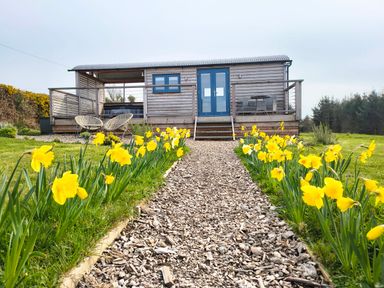 A wooden hut with a path lined by flowers at Fir Tree Shepherd's Hut in Llanon