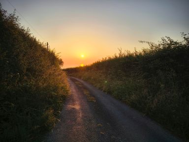A road with hedges and a sunset at Fir Tree Shepherd's Hut Llanon